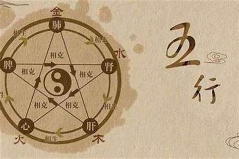 薇五行|薇字在五行里属什么？